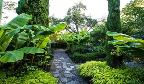 Featured Image of Attractive Themed Gardens