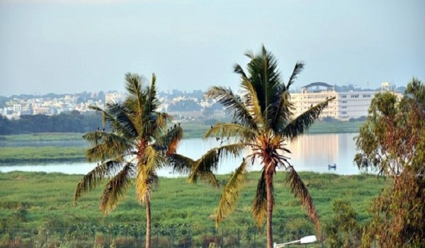 Featured Image of Bellandur Bangalore