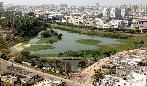 Featured Image of Bellandur