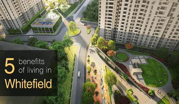 Featured Image of Benefits Of Buying Property In Whitefield