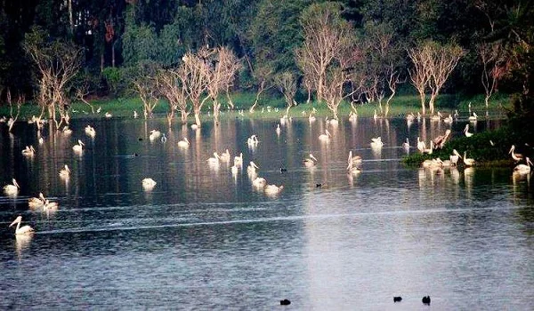 Featured Image of Kaikondrahalli Lake Park