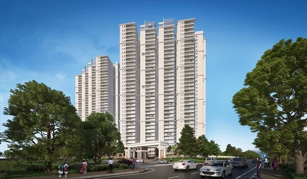 Featured Image of Prestige Group Retail Segment 2024 Update